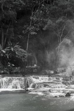 Luang Prabang Laos 'taki en güzel şelalenin siyah beyaz resmi..