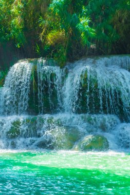 Luang Prabang Laos 'taki en güzel şelale Turkuaz Kuang Si şelalesi..