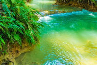 Luang Prabang Laos 'taki en güzel şelale Turkuaz Kuang Si şelalesi..