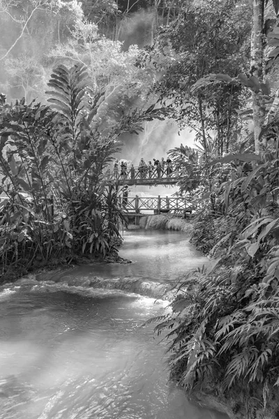 Black and white picture of the worlds most beautiful waterfalls Kuang Si waterfall with bridge in Luang Prabang Laos.