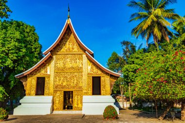 Wat Xieng Thong Budist tapınağı Luang Prabang Laos 'un en iyi tapınakları.