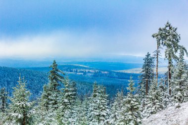 Buzlu köknar ağaçları ve Harz dağlarındaki Brocken Dağı 'nın manzarasına kar yağan Wernigerode Saksonya-Anhalt Almanya