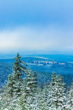 Buzlu köknar ağaçları ve Harz dağlarındaki Brocken Dağı 'nın manzarasına kar yağan Wernigerode Saksonya-Anhalt Almanya
