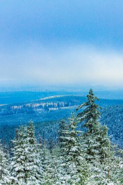 Buzlu köknar ağaçları ve Harz dağlarındaki Brocken Dağı 'nın manzarasına kar yağan Wernigerode Saksonya-Anhalt Almanya