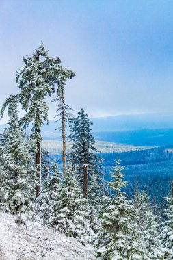 Buzlu köknar ağaçları ve Harz dağlarındaki Brocken Dağı 'nın manzarasına kar yağan Wernigerode Saksonya-Anhalt Almanya