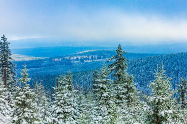 Buzlu köknar ağaçları ve Harz dağlarındaki Brocken Dağı 'nın manzarasına kar yağan Wernigerode Saksonya-Anhalt Almanya