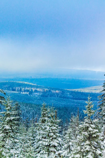 Buzlu köknar ağaçları ve Harz dağlarındaki Brocken Dağı 'nın manzarasına kar yağan Wernigerode Saksonya-Anhalt Almanya