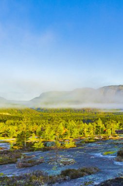 Nissedal Norveç 'te Treungen' in doğasında sis bulutları ve dağlarla sabah doğumu.