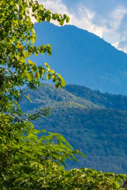 Güneydoğu Asya 'da Laos' ta Luang Prabang şehrinin dağ manzarasının panoraması..