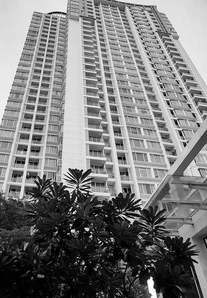 Imagen Blanco Negro Edificios Arquitectura Rascacielos Paisaje Urbano Bangkok Tailandia —  Fotos de Stock
