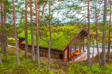 Norveç 'in Nissedal Norveç' teki Treungen 'in doğa ve dağ manzarasında bulunan ahşap kulübe..