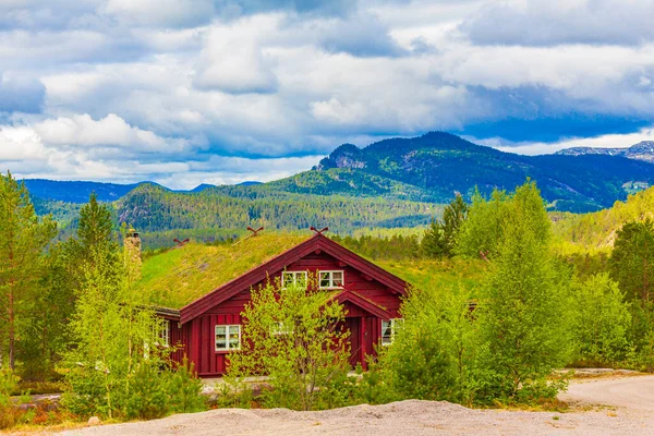 Norweskie Drewniane Kabiny Domki Przyrodzie Górskim Krajobrazie Treungen Nissedal Norwegia — Zdjęcie stockowe