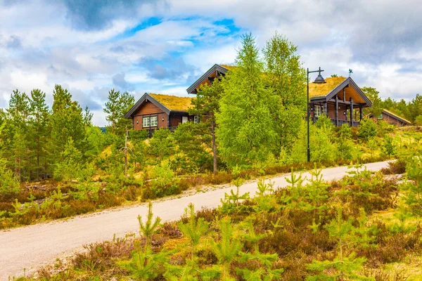 Norweskie Drewniane Kabiny Domki Przyrodzie Górskim Krajobrazie Treungen Nissedal Norwegia — Zdjęcie stockowe