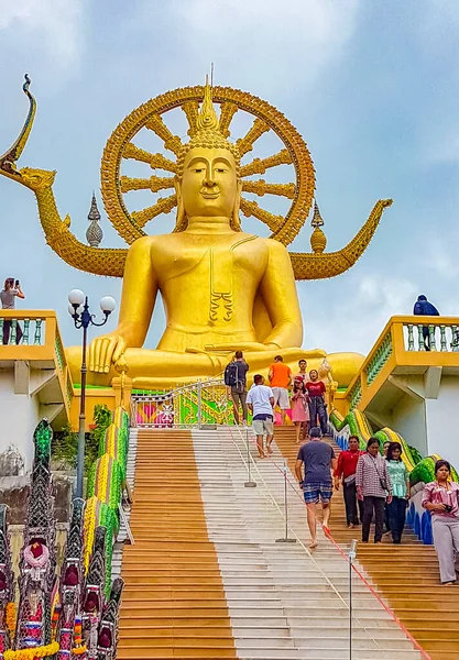 Surat Thani Thailandia Mai 2018 Grande Statua Buddha Gigante Oro — Foto Stock