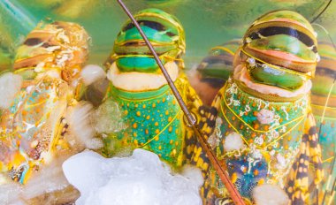 Yengeç ıstakozları ve Tayland 'daki Koh Samui' deki Bangrak pazarındaki diğer iğrenç deniz ürünleri yemekleri..