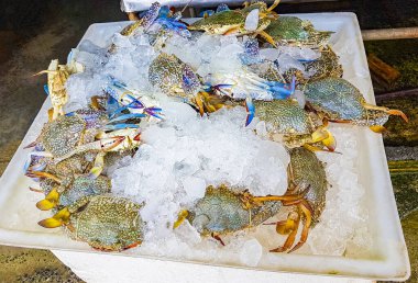 Yengeç ıstakozları ve Tayland 'daki Koh Samui' deki Bangrak pazarındaki diğer iğrenç deniz ürünleri yemekleri..