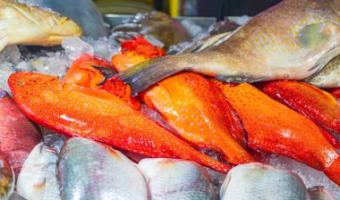 Tayland 'da Koh Samui' deki Bangrak pazarında tropik renkli balıklar ve diğer iğrenç deniz mahsulleri Tayland yemekleri..