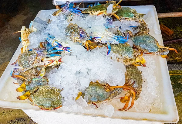 Yengeç ıstakozları ve Tayland 'daki Koh Samui' deki Bangrak pazarındaki diğer iğrenç deniz ürünleri yemekleri..