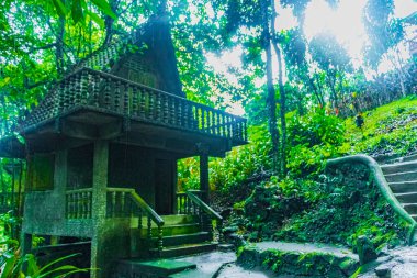 Tar Nim Şelalesi tapınağı ve Gizli Sihirli Bahçe yağmur mevsimi Surat Thani Tayland 'da Koh Samui' de.