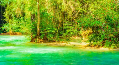 Luang Prabang Laos 'taki en güzel şelale Turkuaz Kuang Si şelalesi..