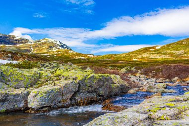 Vavatn gölünün kıyısındaki güzel Storebottane nehri Hemsedal Norveç 'in yaz manzarasında karla kaplı..