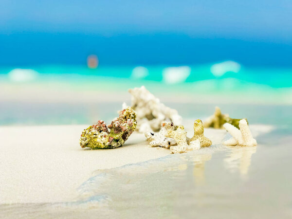 White beach sand with corals and shells on Madivaru and Finolhu in Rasdhoo Atoll Maldives.