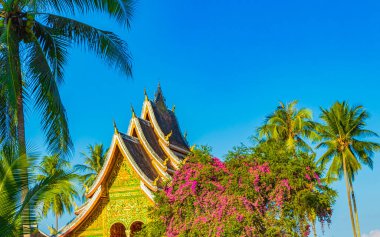 Wat Xieng Thong Budist tapınağı Luang Prabang Laos 'un en iyi tapınakları.
