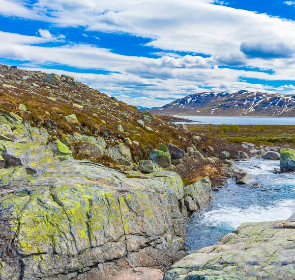 Река Столебане Озера Ваватн Снегом Летнем Пейзаже Хемседале Норвегия — стоковое фото