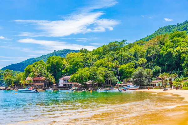 Angra dos Reis Rio de Janeiro Brezilya 'daki büyük tropikal ada Ilha Grande Abraao.