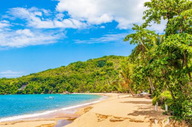 Büyük tropikal ada Ilha Grande Praia de Palmas plajı Angra dos Reis Rio de Janeiro Brezilya.