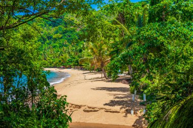Büyük tropikal ada Ilha Grande Praia de Palmas plajı Angra dos Reis Rio de Janeiro Brezilya.