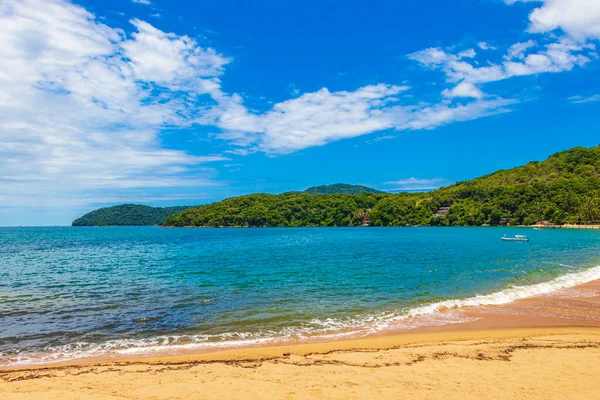 Die Große Tropische Insel Ilha Grande Praia Palmas Angra Dos — Stockfoto