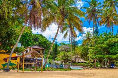Büyük tropikal ada Ilha Grande Praia de Palmas plajı Angra dos Reis Rio de Janeiro Brezilya.