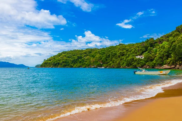 Büyük tropikal ada Ilha Grande Praia de Palmas plajı Angra dos Reis Rio de Janeiro Brezilya.
