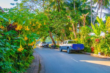 Eski kasaba Luang Prabang Laos 'un tropik doğal renkli yolu ve şehir manzarası.