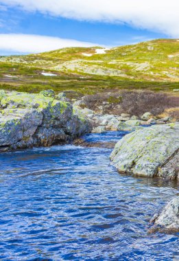 Vavatn gölünün kıyısındaki güzel Storebottane nehri Hemsedal Norveç 'in yaz manzarasında karla kaplı..