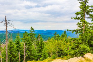 Harz dağlarındaki Brocken Dağı tepesinde köknar ağaçları ve manzara manzarası olan orman Saksonya-Anhalt Almanya