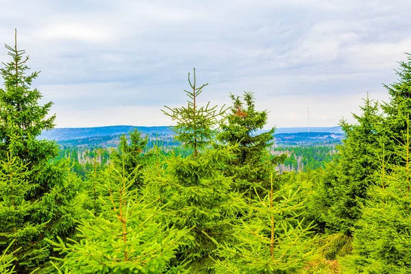 Les Mrtvými Jedlemi Krajinným Panoramatem Pohoří Brocken Horách Harz Wernigerode — Stock fotografie