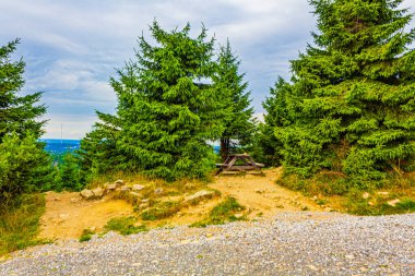 Harz dağlarındaki Brocken Dağı tepesinde köknar ağaçları ve manzara manzaralı orman Saksonya-Anhalt Almanya