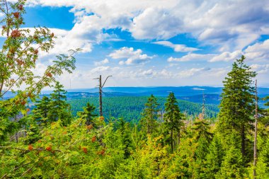 Harz dağlarındaki Brocken Dağı tepesinde köknar ağaçları ve manzara manzarası olan orman Saksonya-Anhalt Almanya