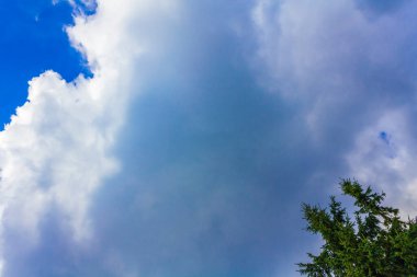 Harz dağlarındaki Brocken Dağı 'ndaki köknar ağaçları ve manzara bulutların üzerinde güneş ışığı Wernigerode Saksonya-Anhalt Almanya