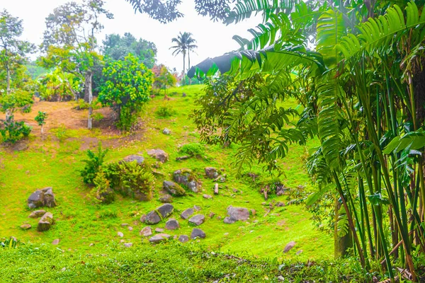 Dschungel Mit Monsunregen Tar Nim Wasserfall Secret Magic Garden Während — Stockfoto
