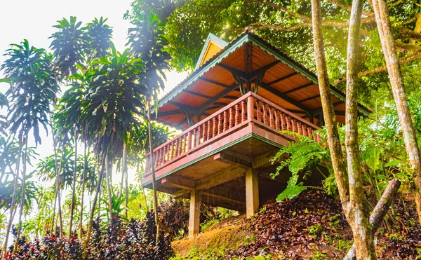 Kleine Hütte Tar Nim Wasserfall Tempel Secret Magic Garden Regenzeit — Stockfoto