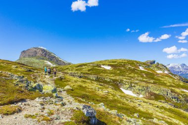 Viken Norveç 06. Haziran 2016 Halk yürüyüşçüleri Hemsedal Norveç 'teki Hydnefossen şelalesinin yanındaki Storehodn dağına yürüyor.