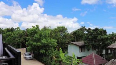 Tayland 'daki Koh Samui adasında tropikal doğada yaşıyor..
