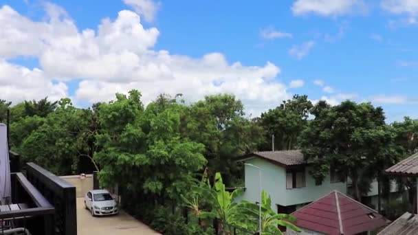 Život Tropické Přírodě Ostrově Koh Samui Thajsku — Stock video