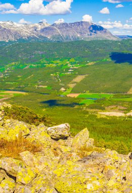 Yazın dağlarda kar yağan Hydalen Hemsedal Norveç 'in güzel vadi manzarası.
