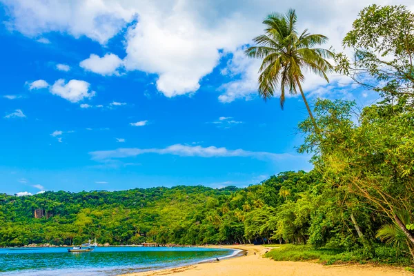 Increíble Playa Manglares Playa Pouso Gran Isla Tropical Ilha Grande —  Fotos de Stock