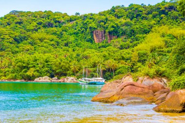 Muhteşem Mangrove plajı ve Pouso plajı Angra dos Reis Rio de Janeiro Brezilya 'daki büyük tropikal ada Ilha Grande.