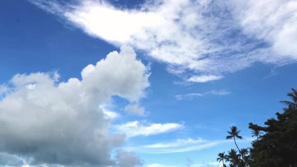 Increíbles Formaciones Nubes Con Palmeras Cielo Azul Sobre Samui Tailandia — Vídeos de Stock